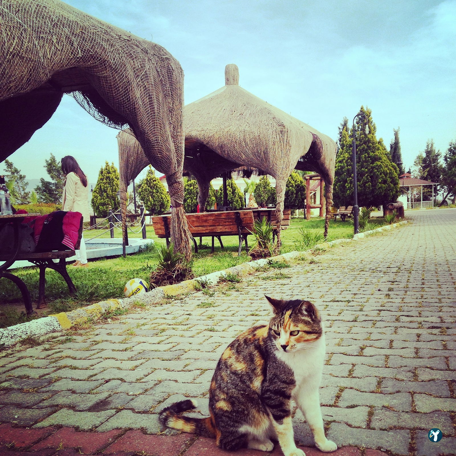 Seyrek Göl Hobi Park