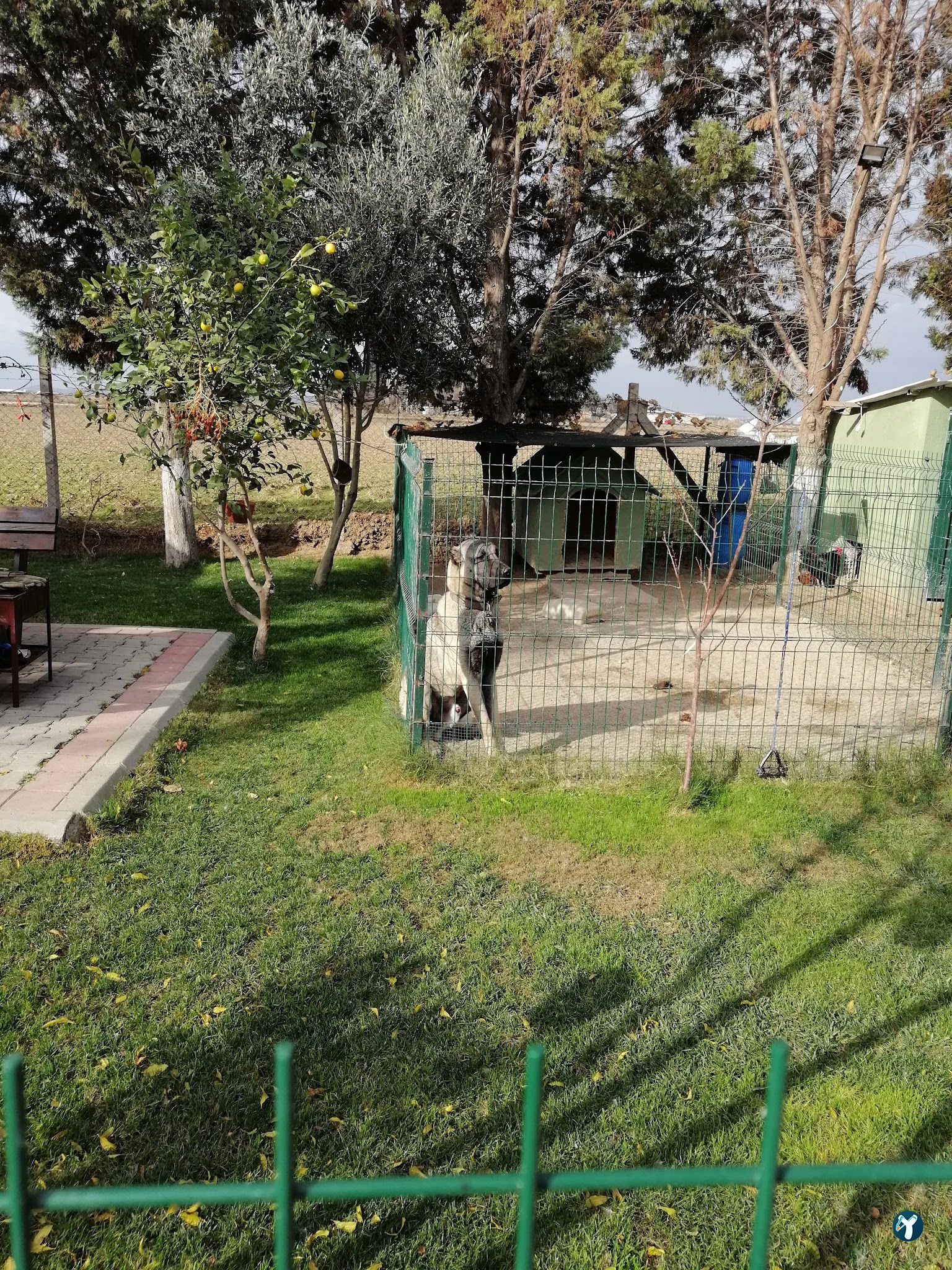 Seyrek Göl Hobi Park