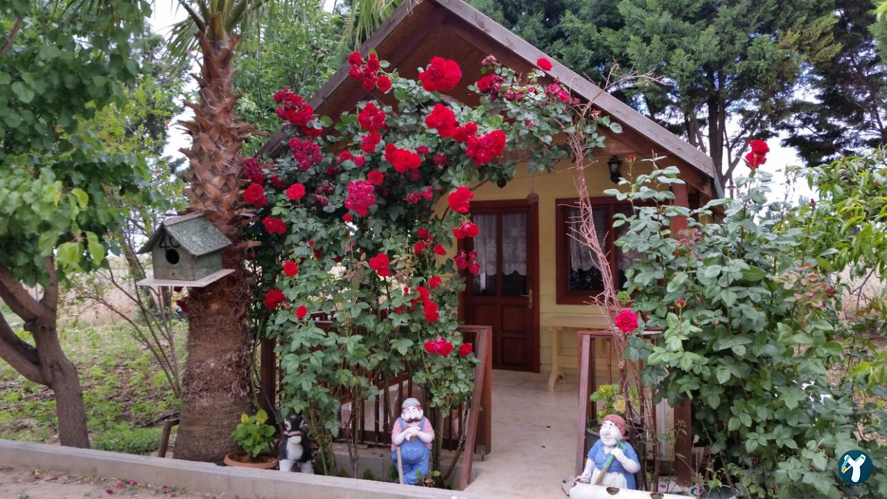 Seyrek Göl Hobi Park