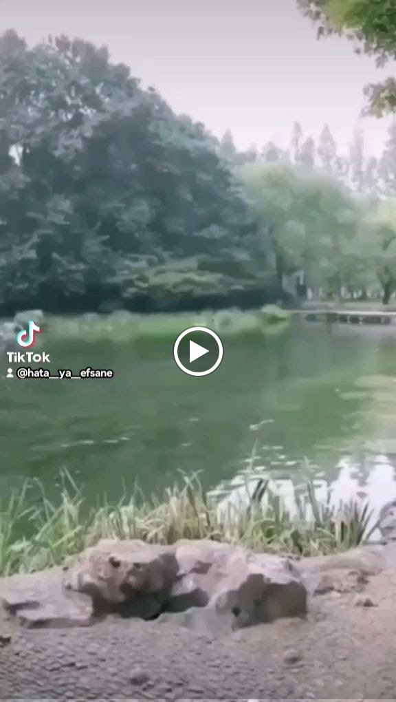 Tebessüm Dürüm Kebap