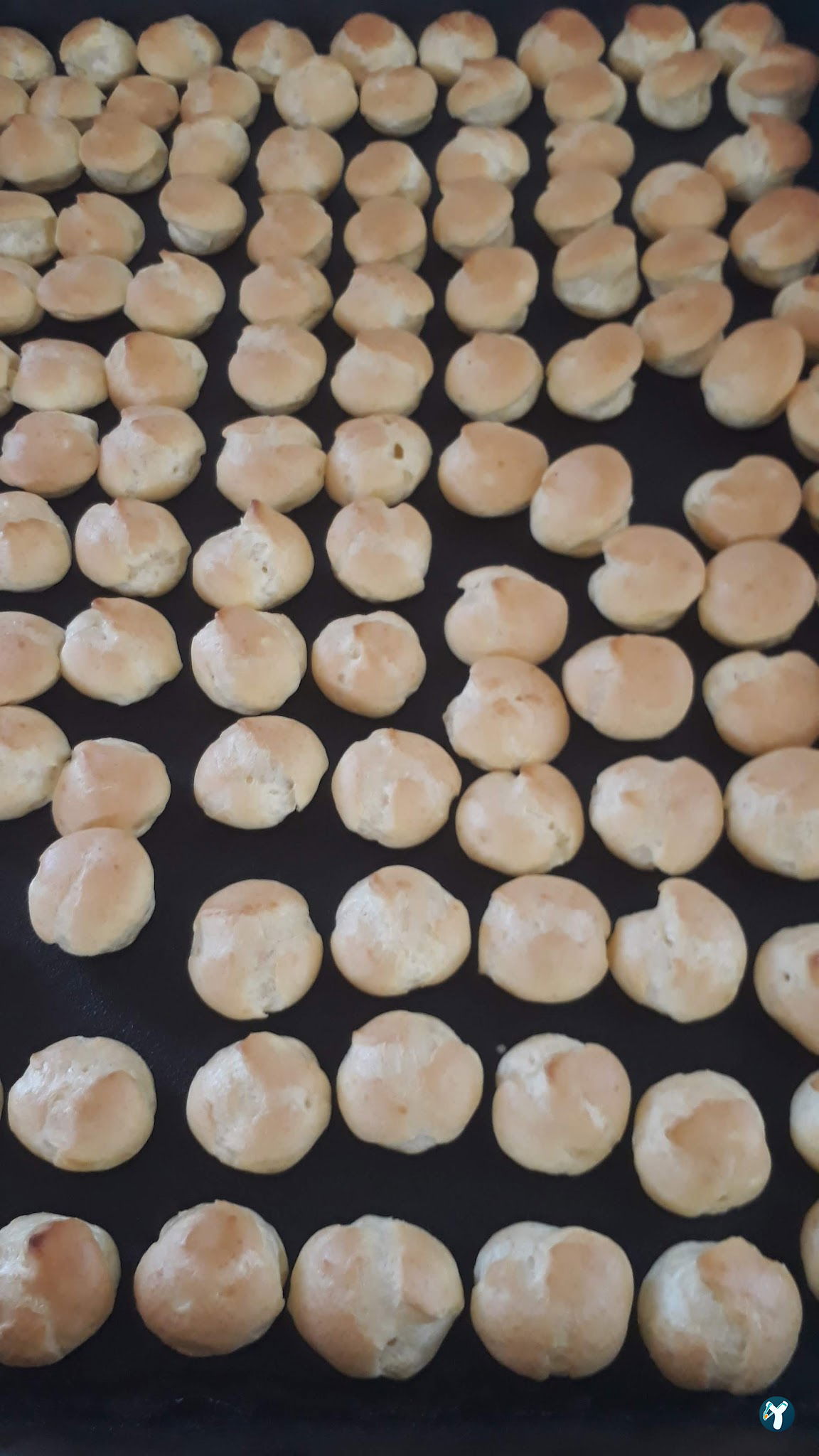 Sureyya Pastanesi