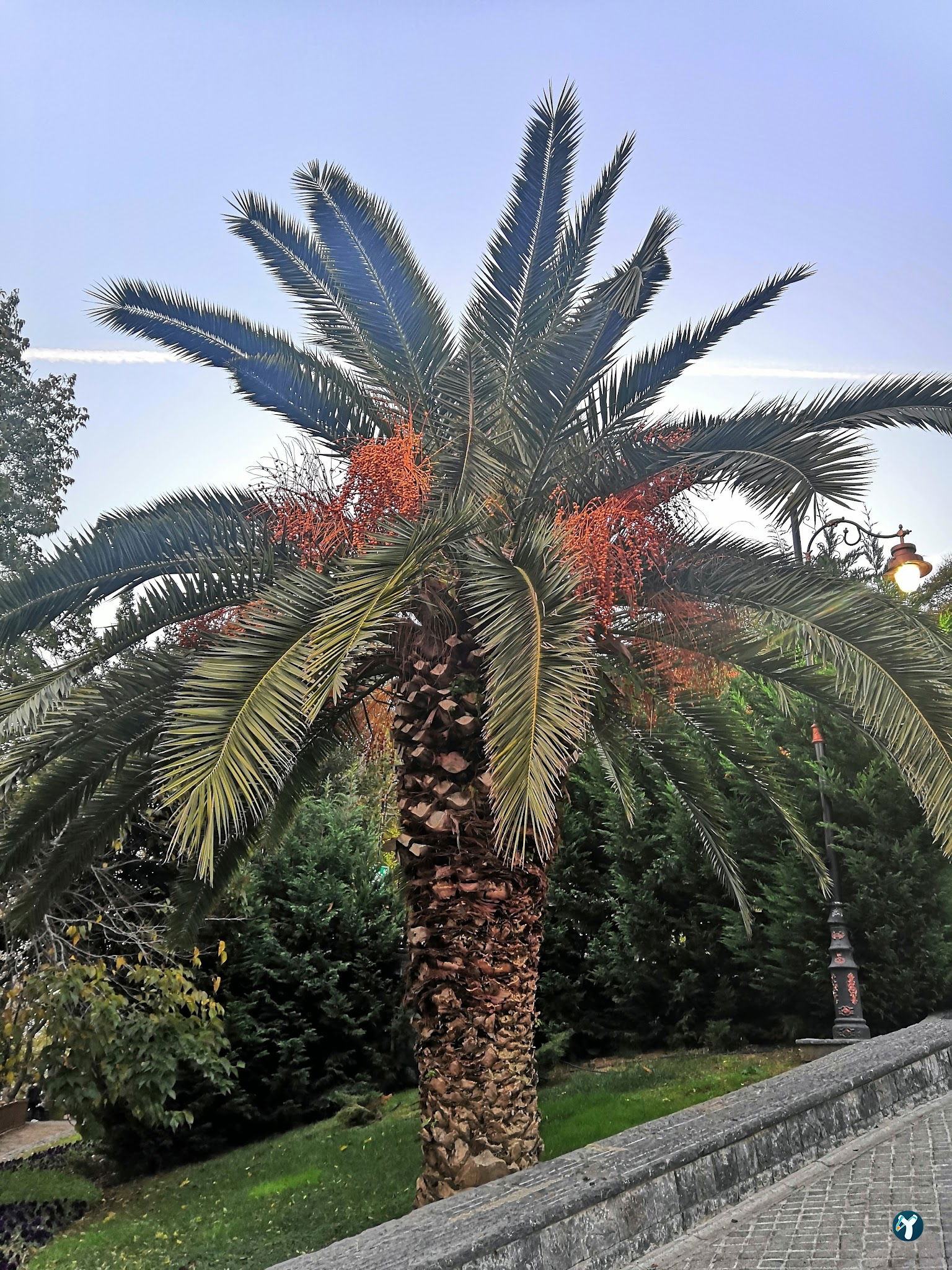 İbb Fethipaşa Sosyal Tesisleri