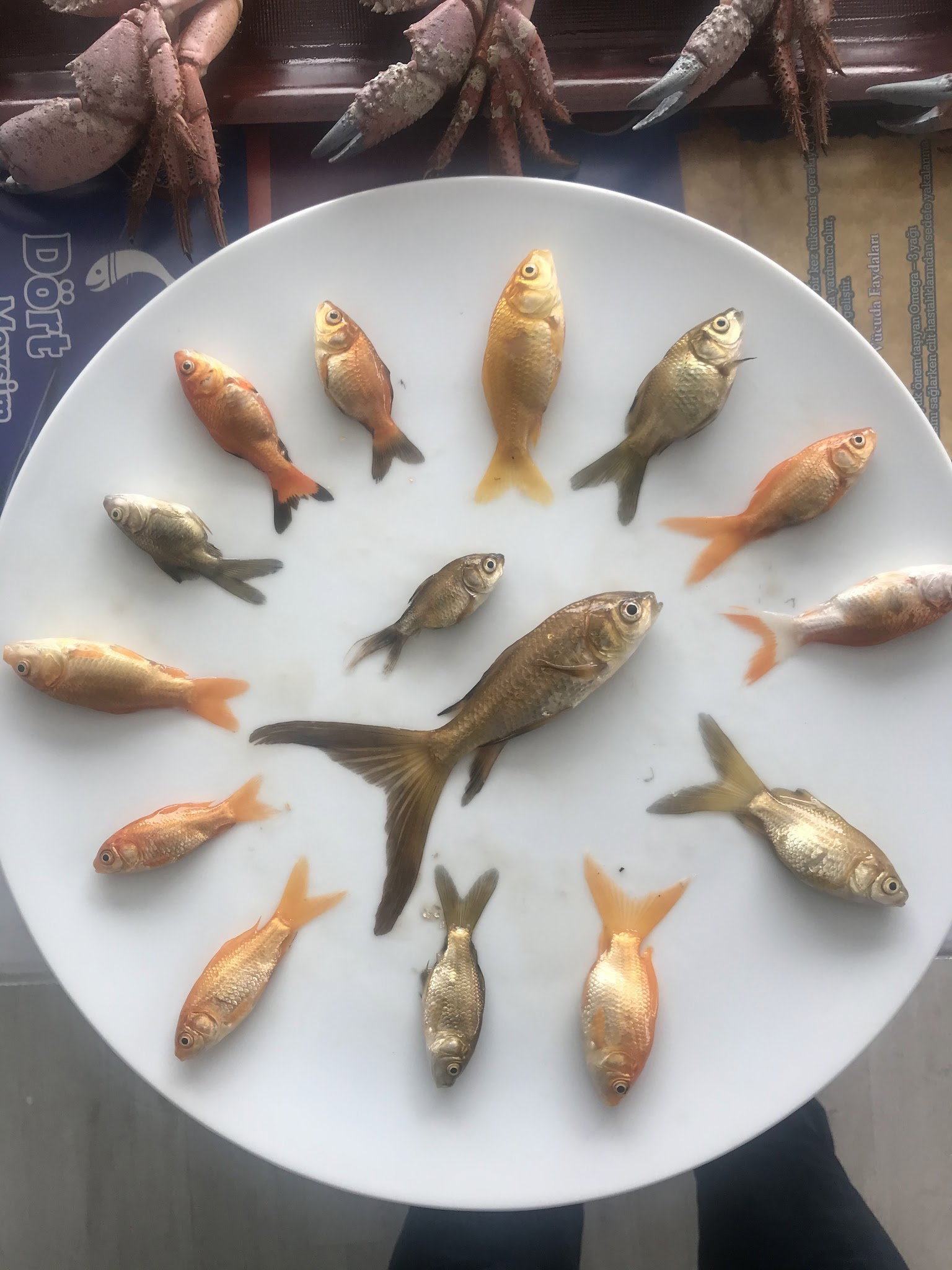 Alkar Balık Pazarı