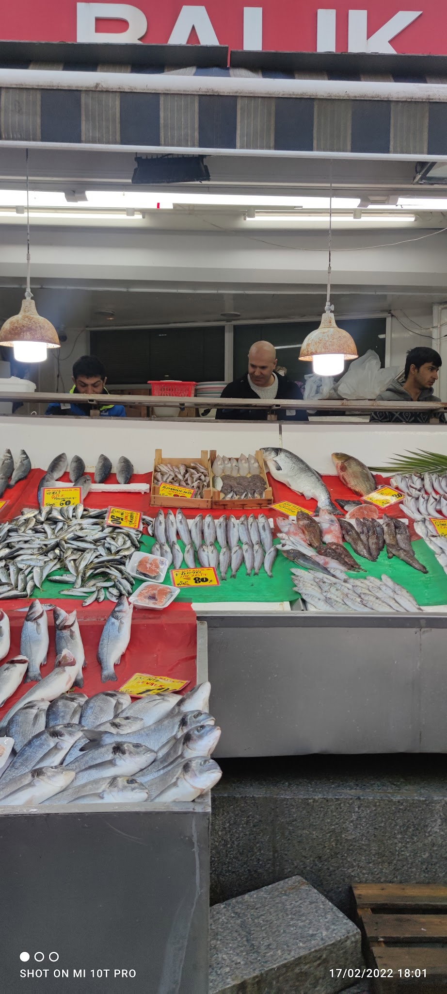 Alkar Balık Pazarı