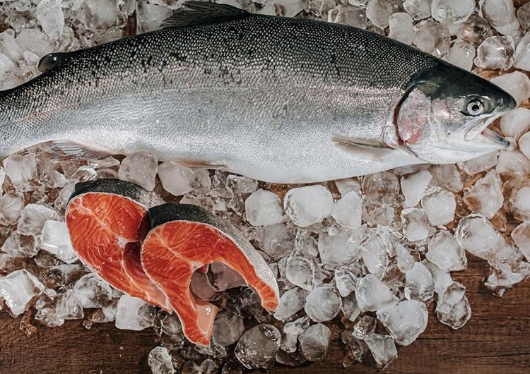 Alkar Balık Pazarı