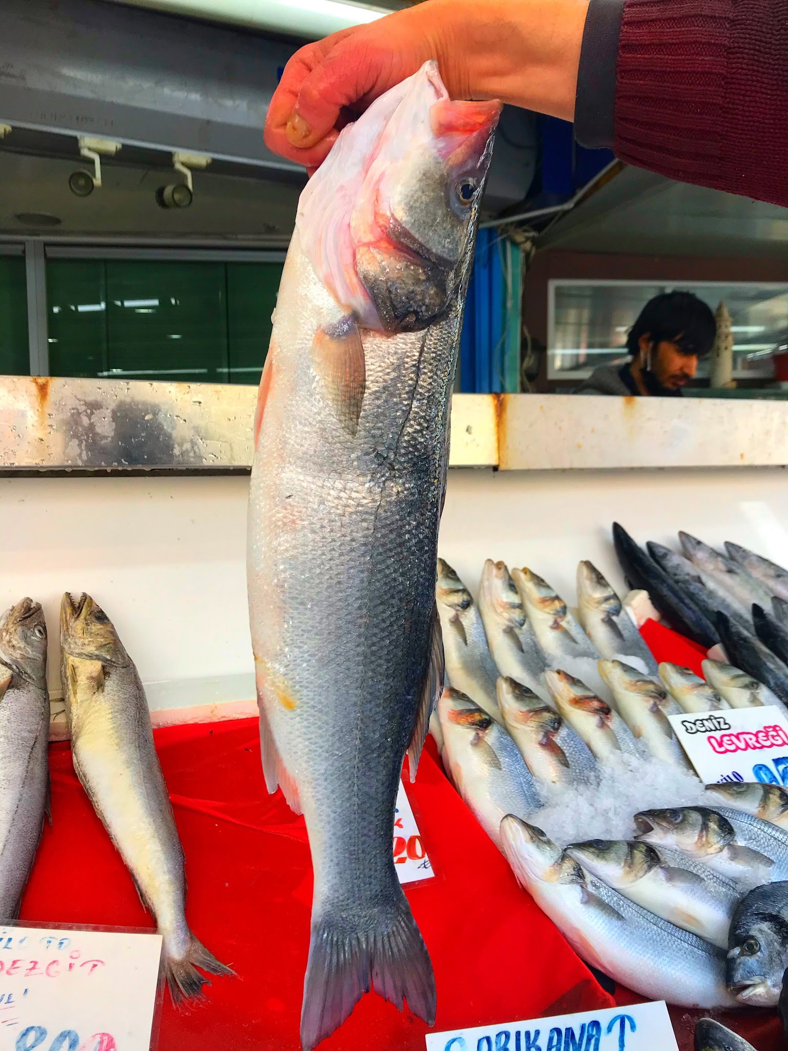 Alkar Balık Pazarı