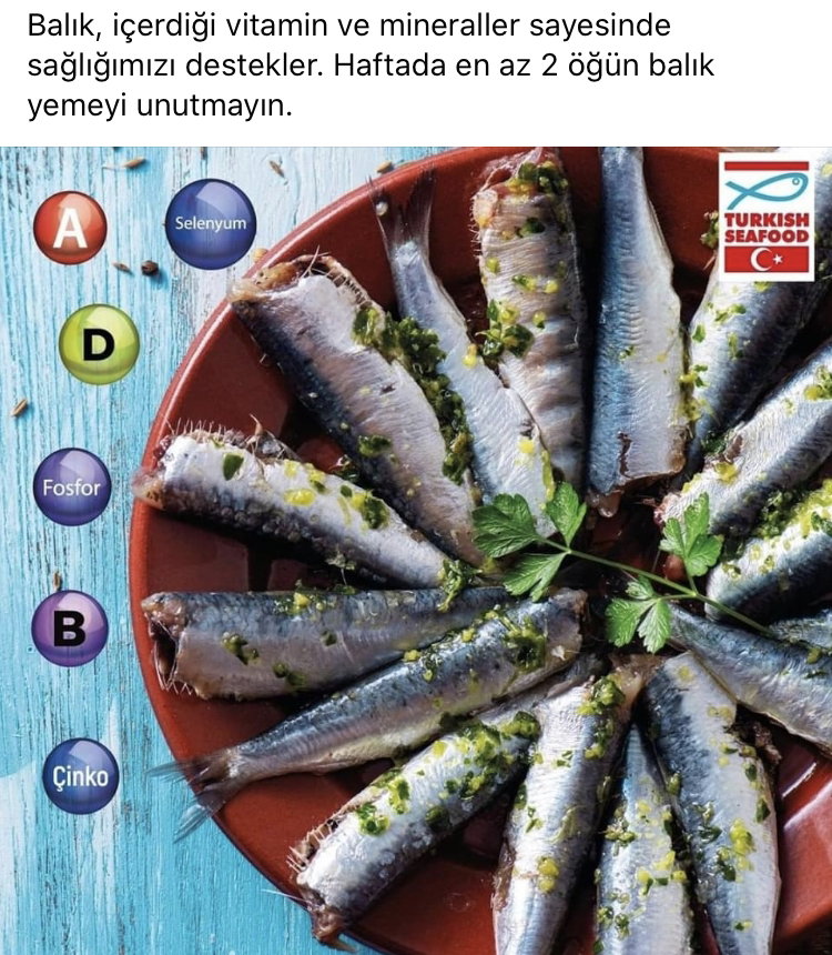 Alkar Balık Pazarı