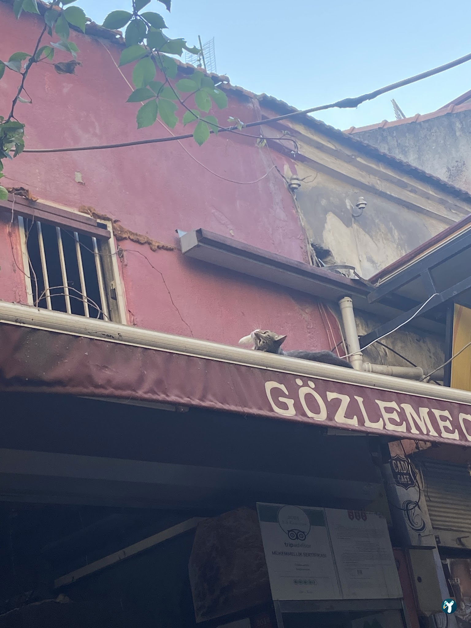 Gözlemeci̇m