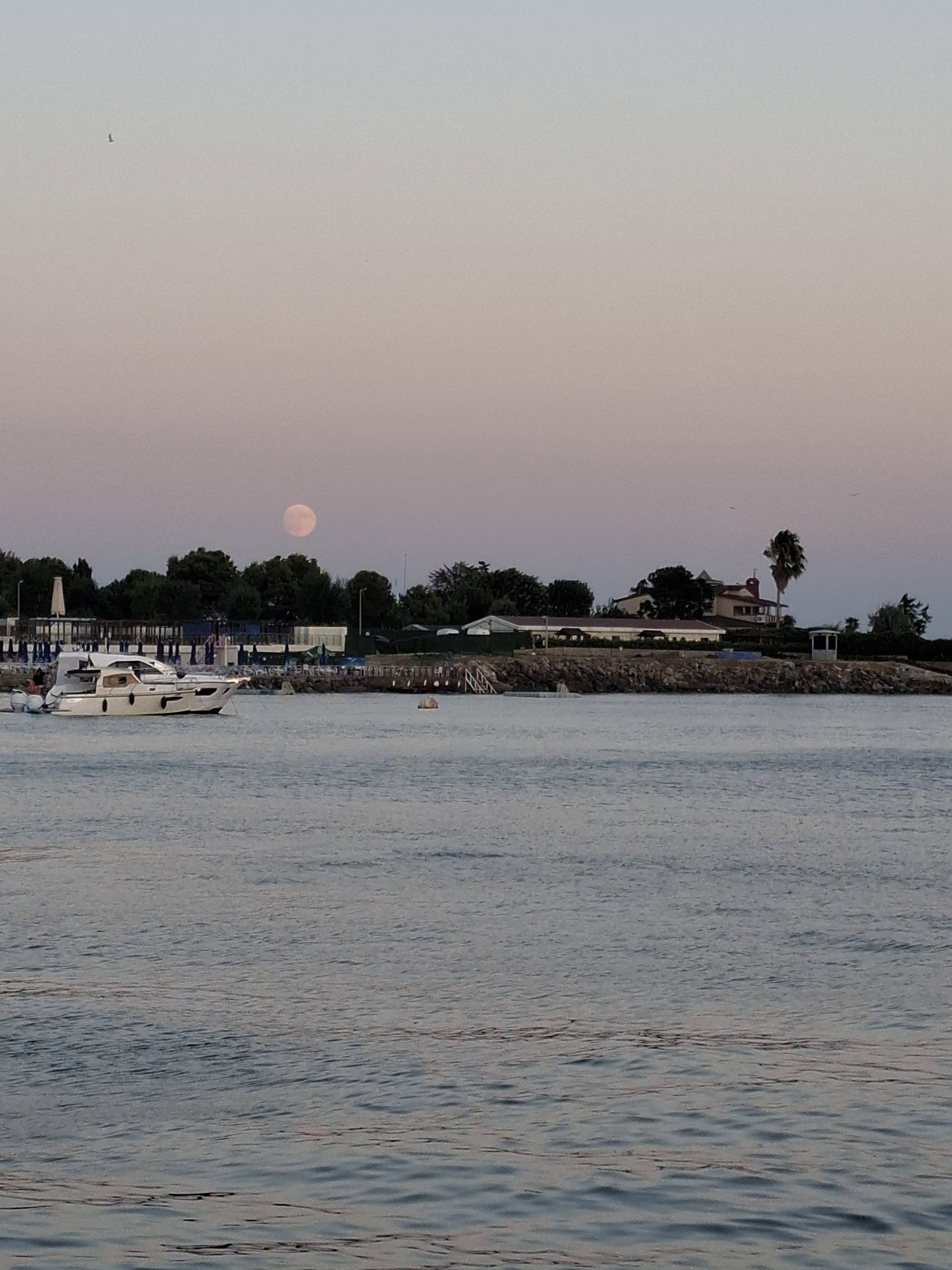 Khalkedon Fenerbahçe