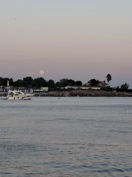 Khalkedon Fenerbahçe resimleri