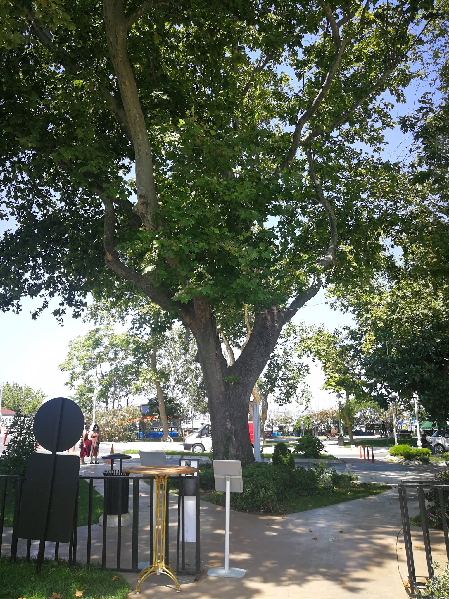 Khalkedon Fenerbahçe