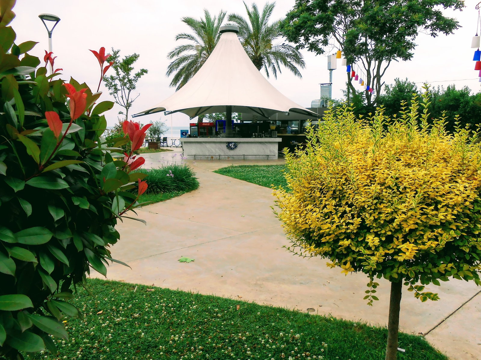 Khalkedon Fenerbahçe