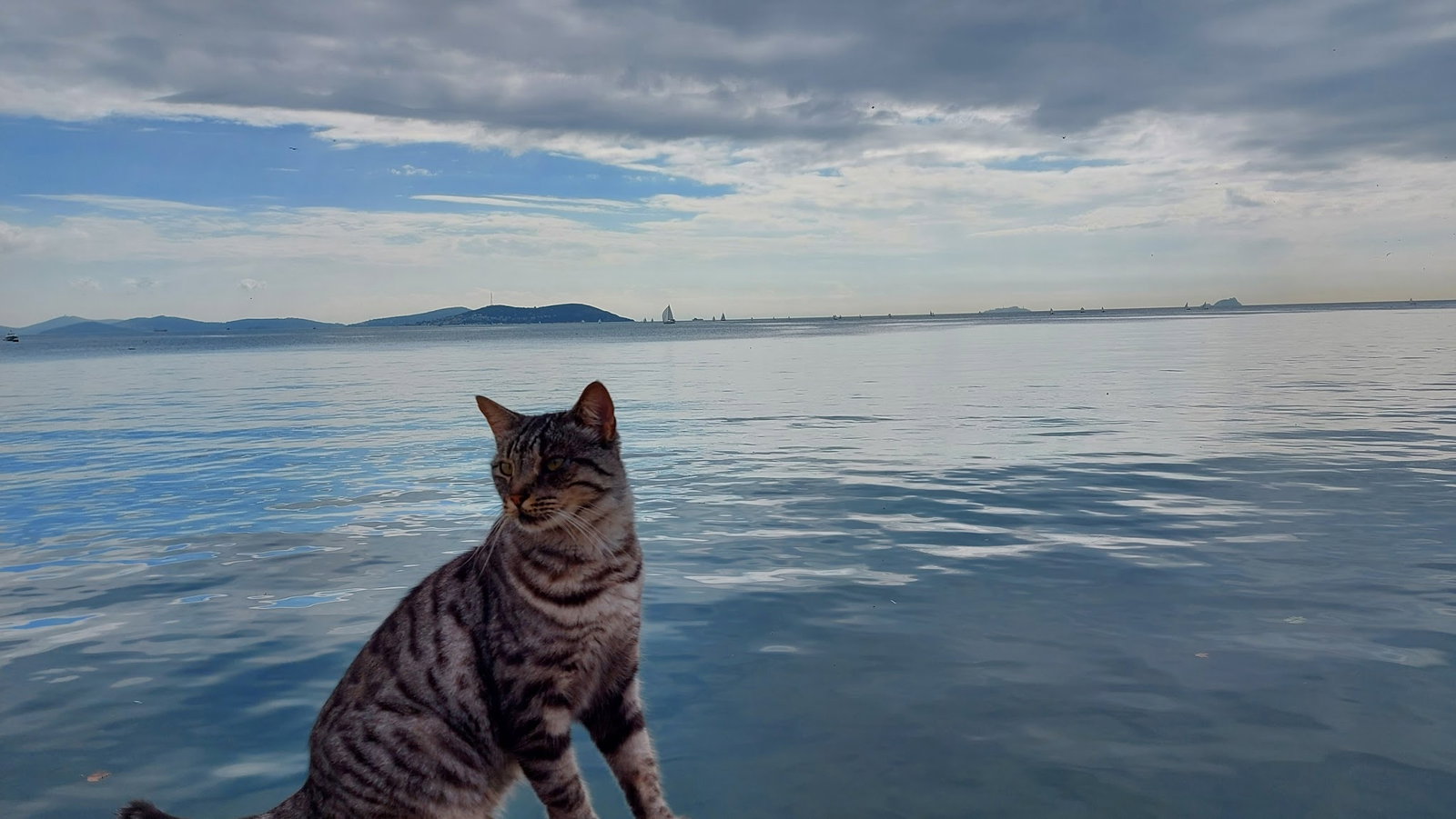 Khalkedon Fenerbahçe