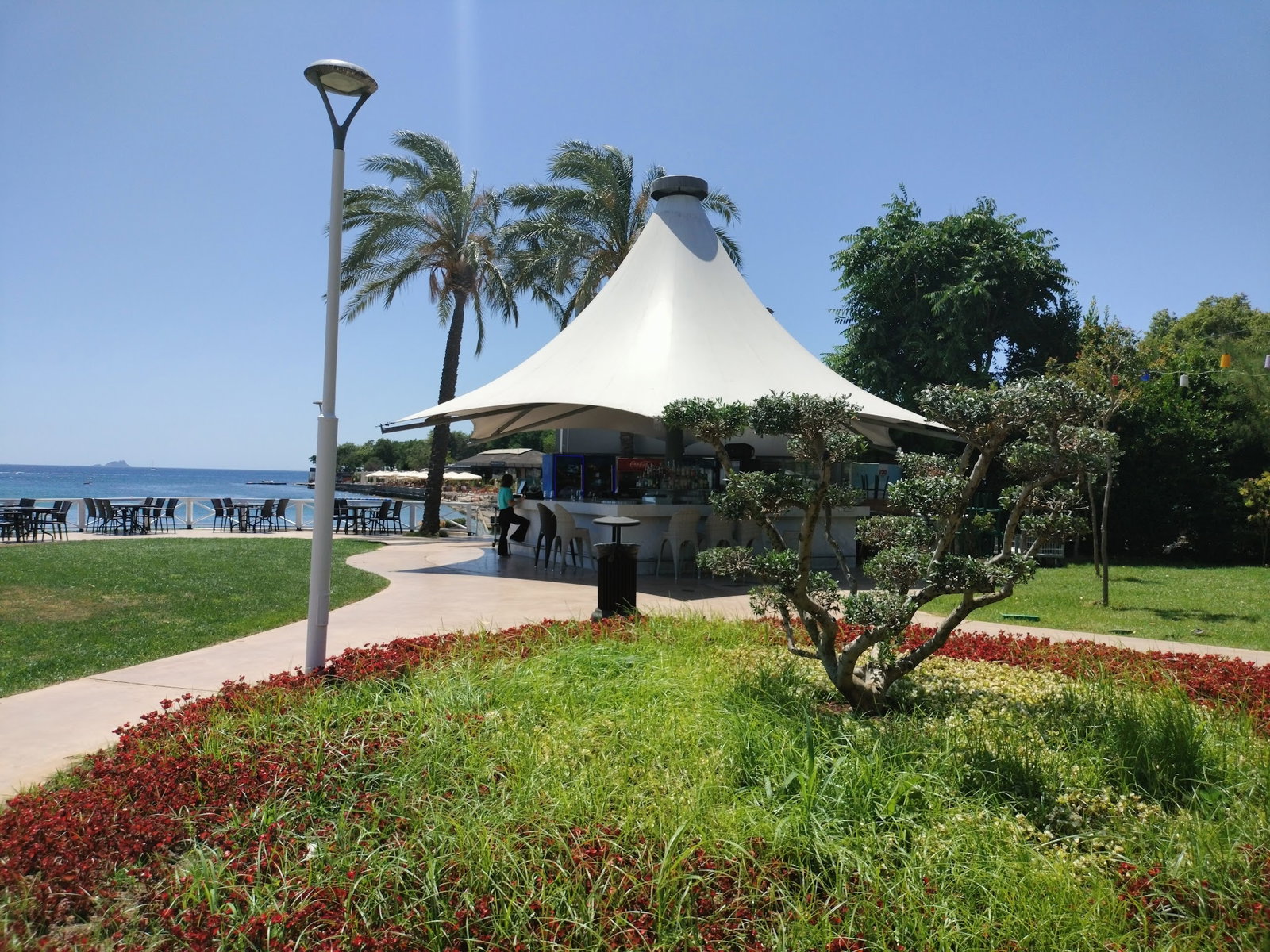 Khalkedon Fenerbahçe