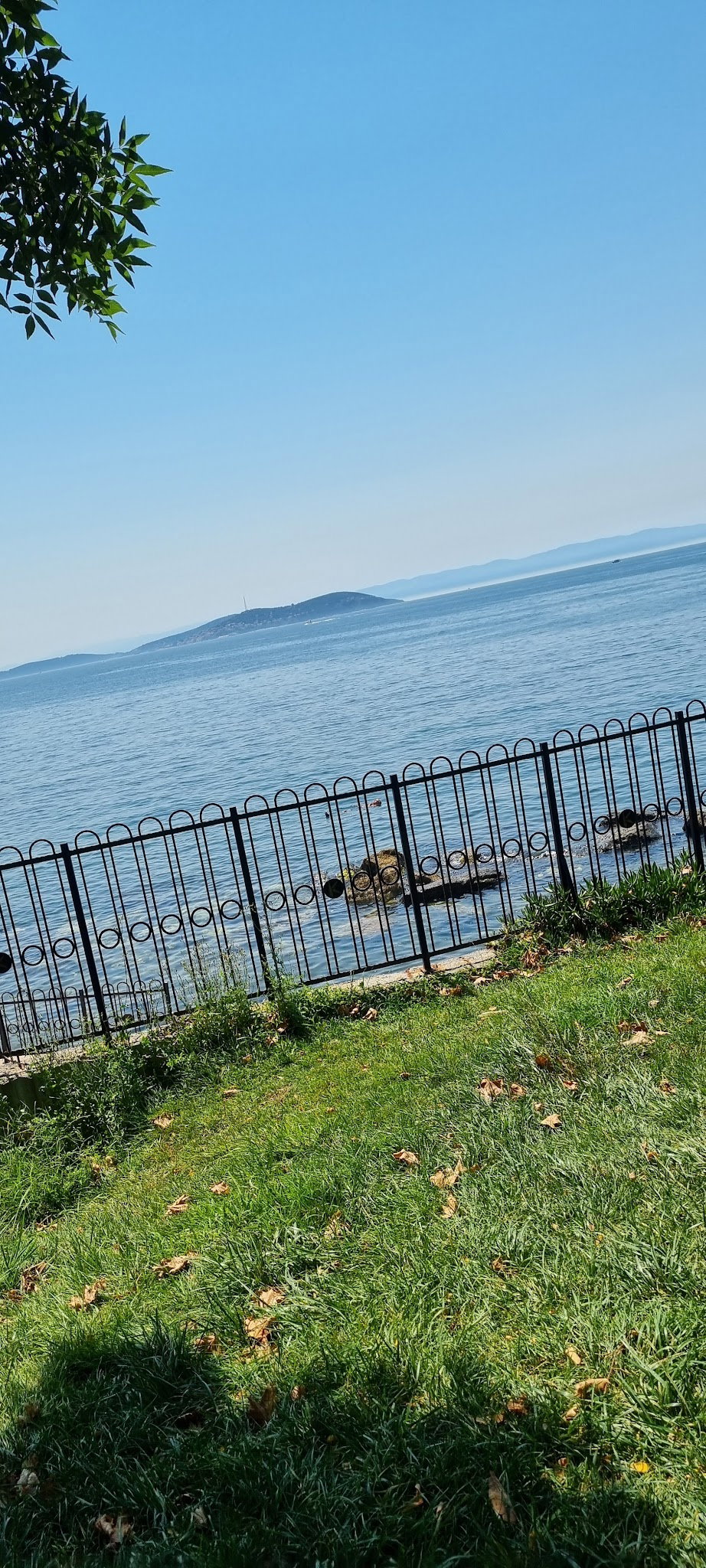 Khalkedon Fenerbahçe