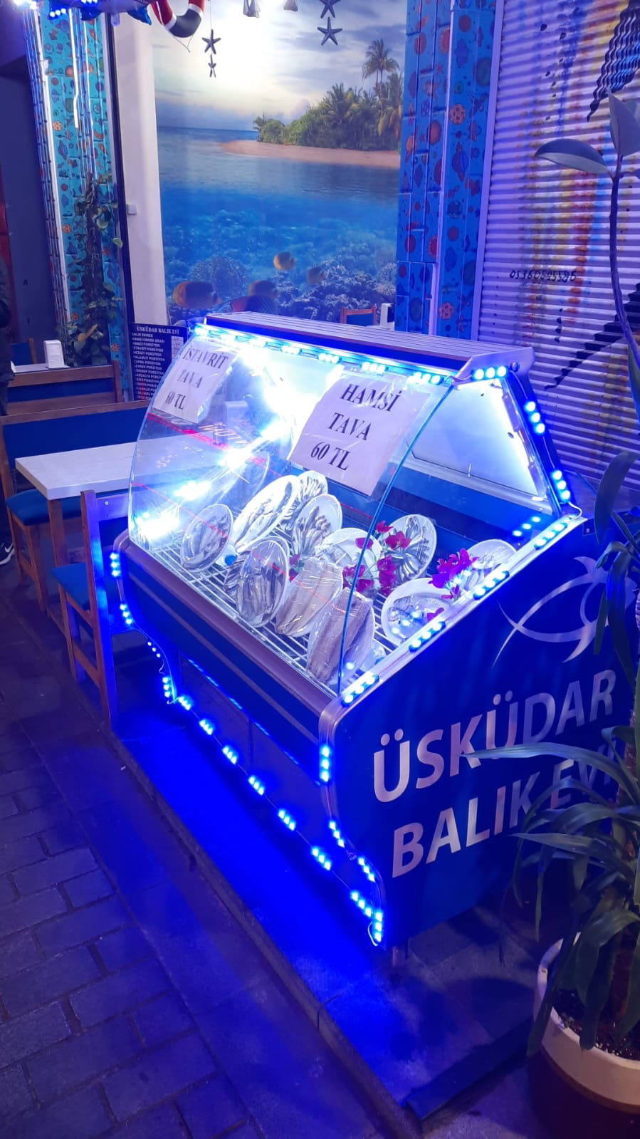 Üsküdar Balık Evi