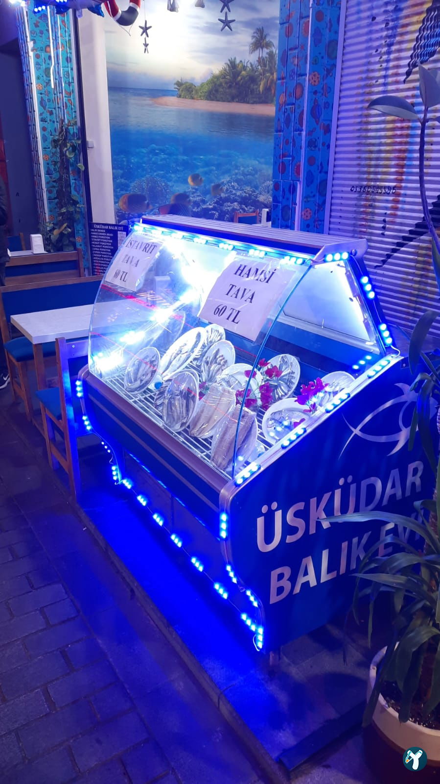 Üsküdar Balık Evi