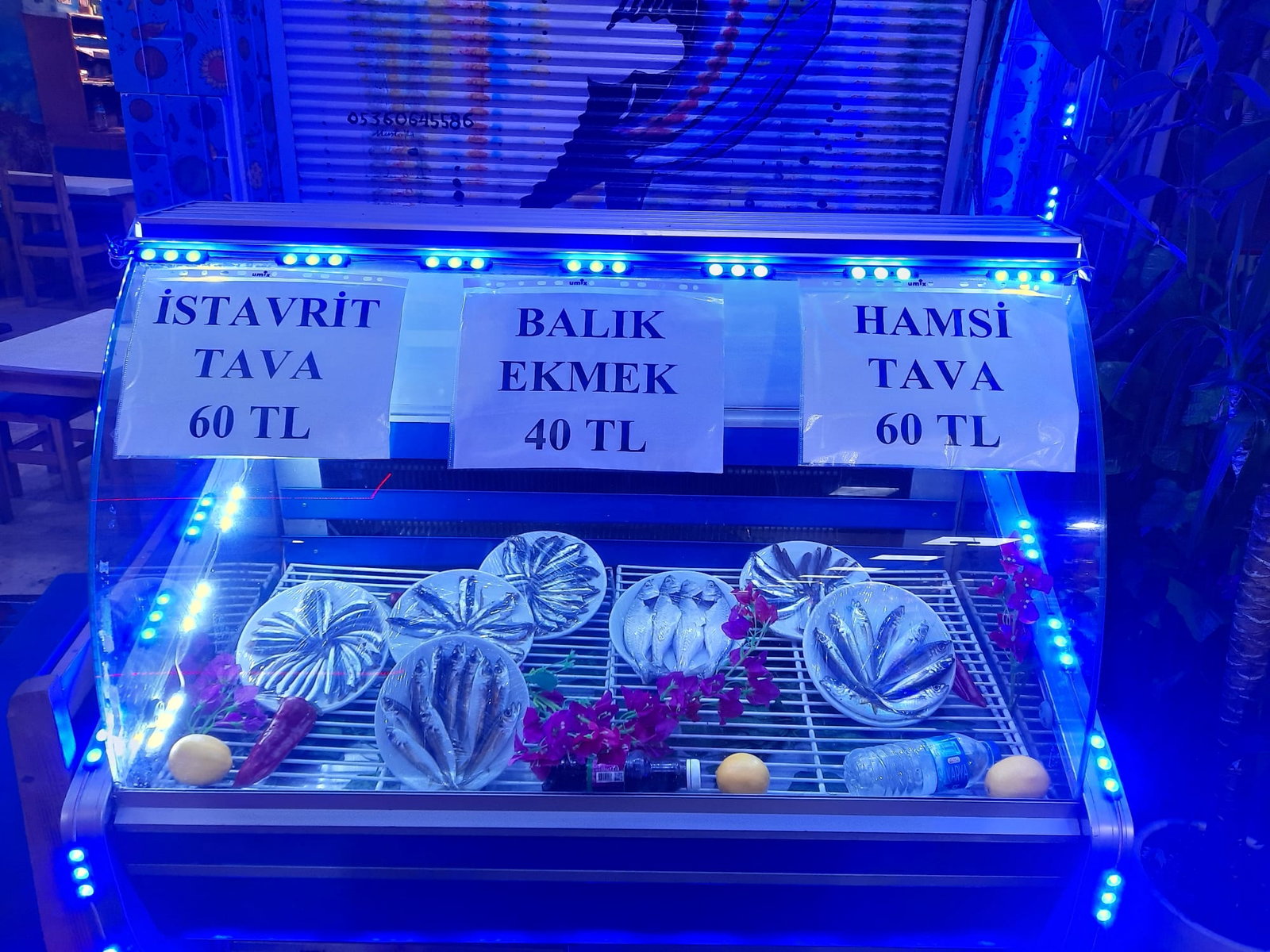 Üsküdar Balık Evi