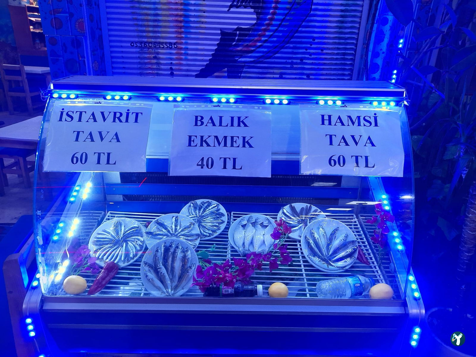 Üsküdar Balık Evi