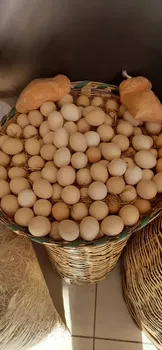 Vega Yufka Gözleme resimleri