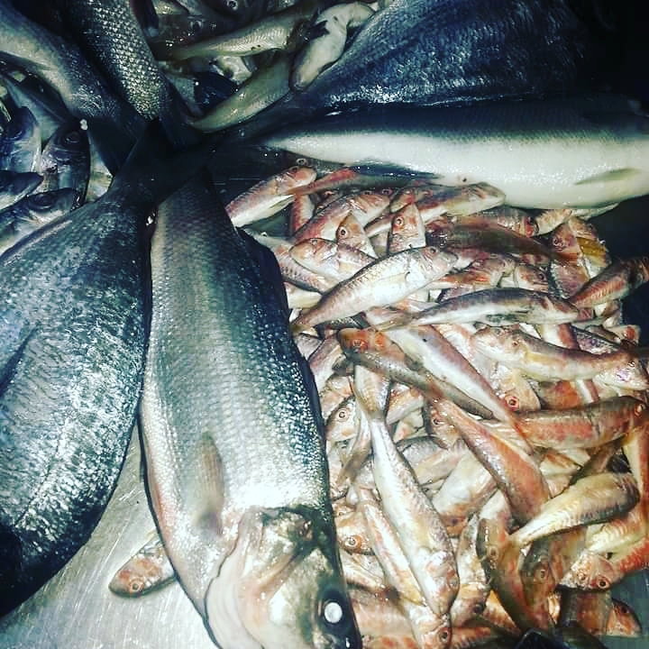 Ali̇ço Balik Evi̇