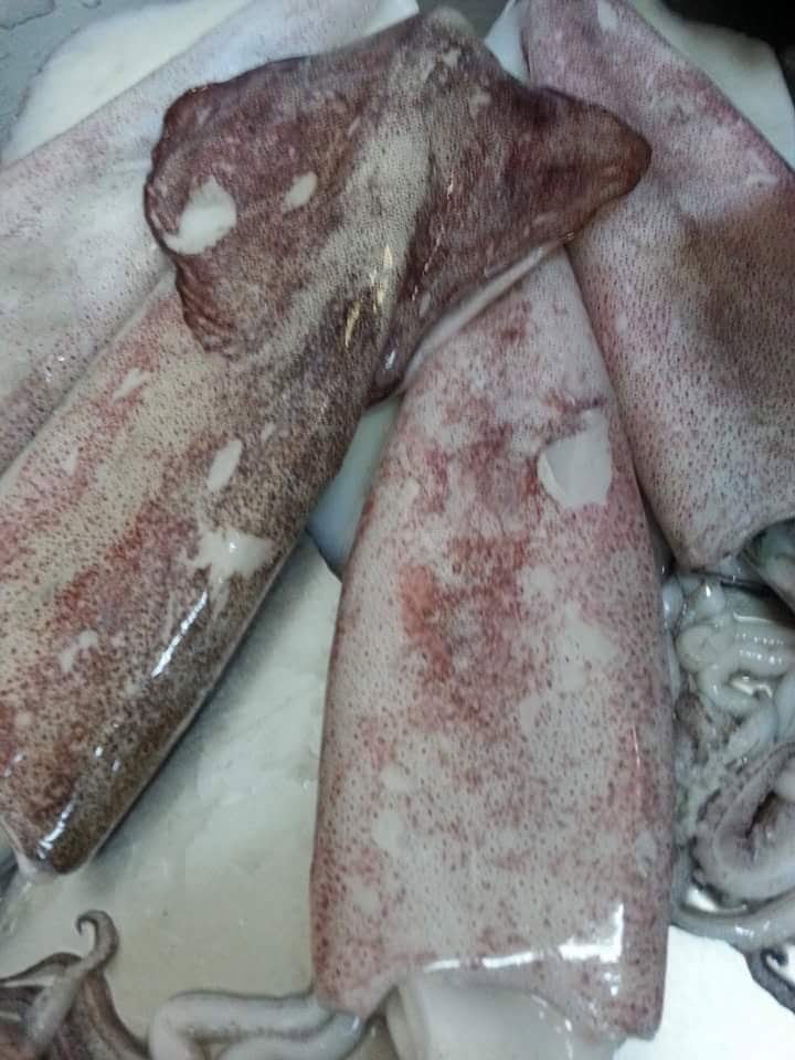 Ali̇ço Balik Evi̇