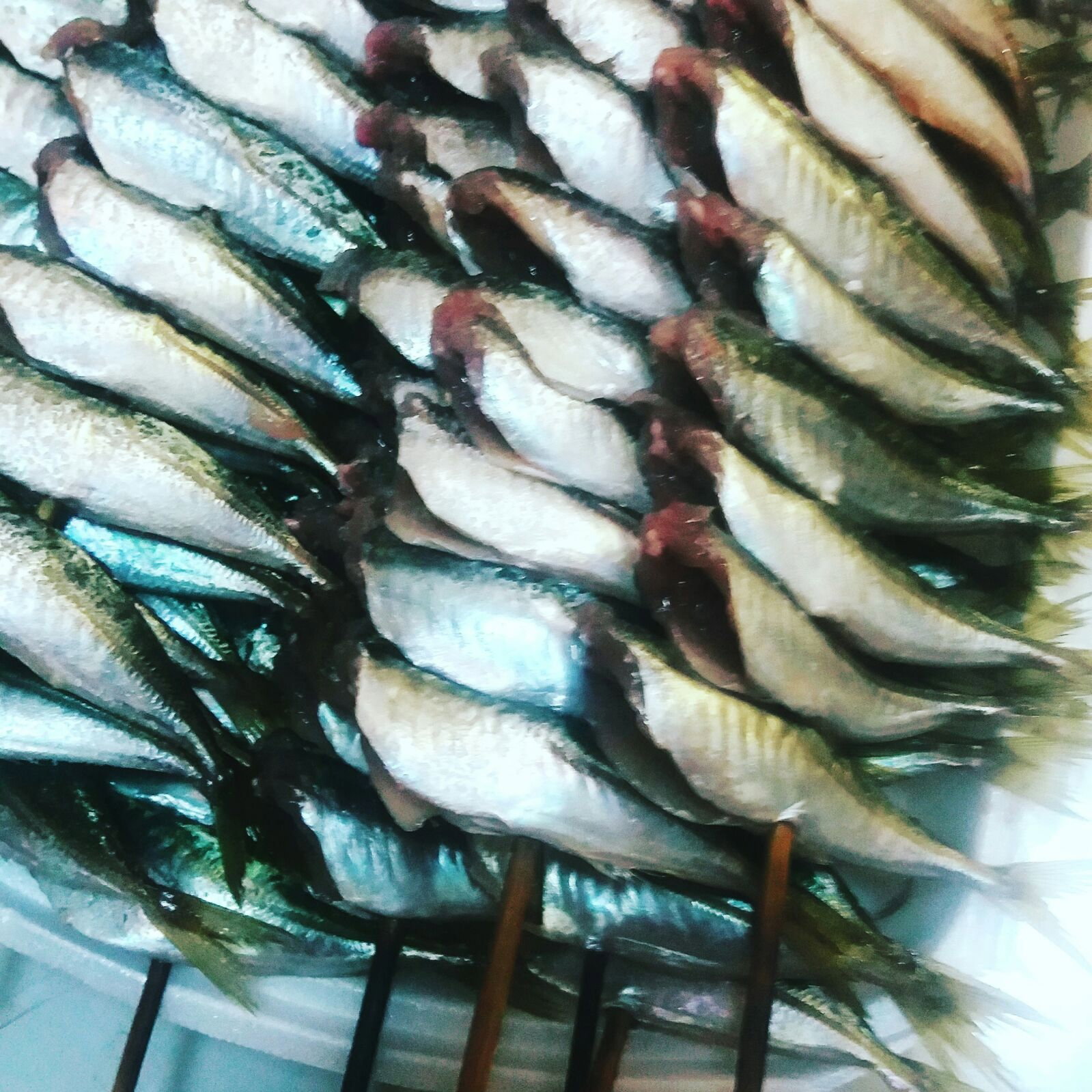 Ali̇ço Balik Evi̇