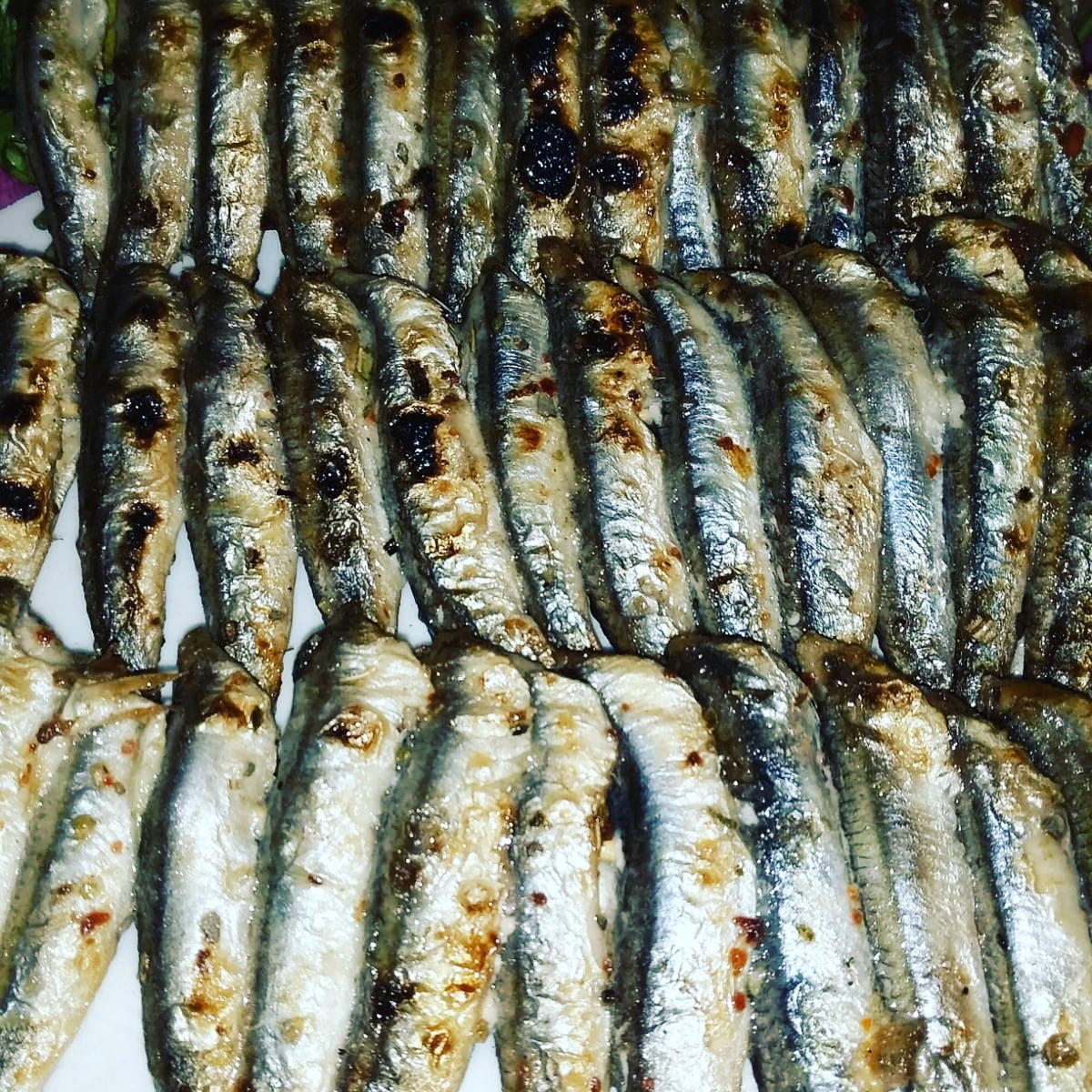 Ali̇ço Balik Evi̇