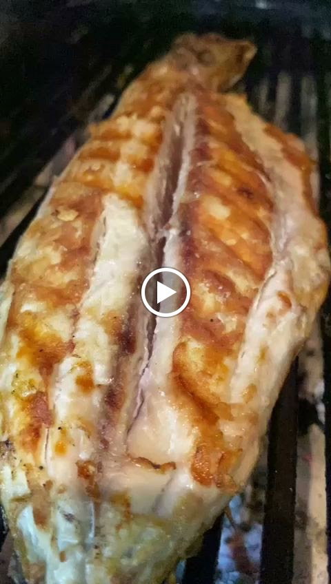 Ali̇ço Balik Evi̇