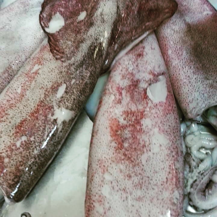 Ali̇ço Balik Evi̇