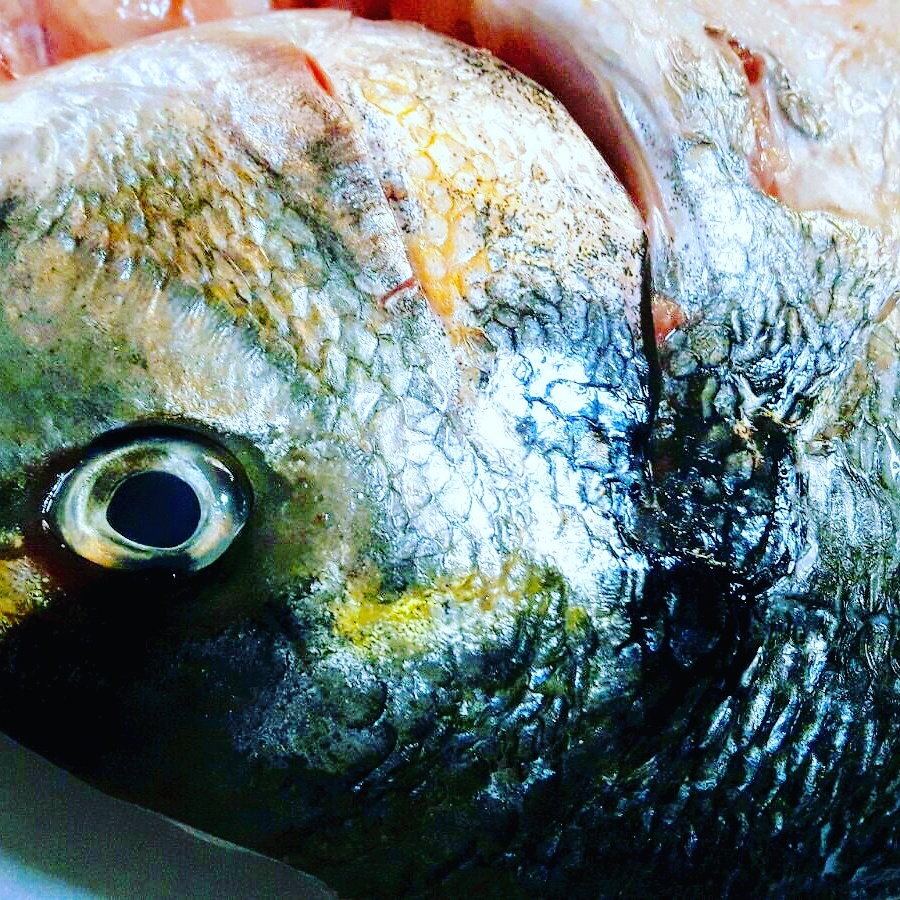 Ali̇ço Balik Evi̇