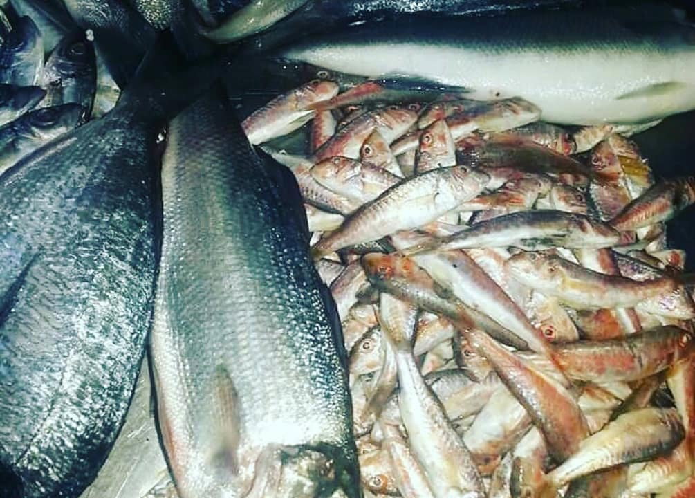 Ali̇ço Balik Evi̇