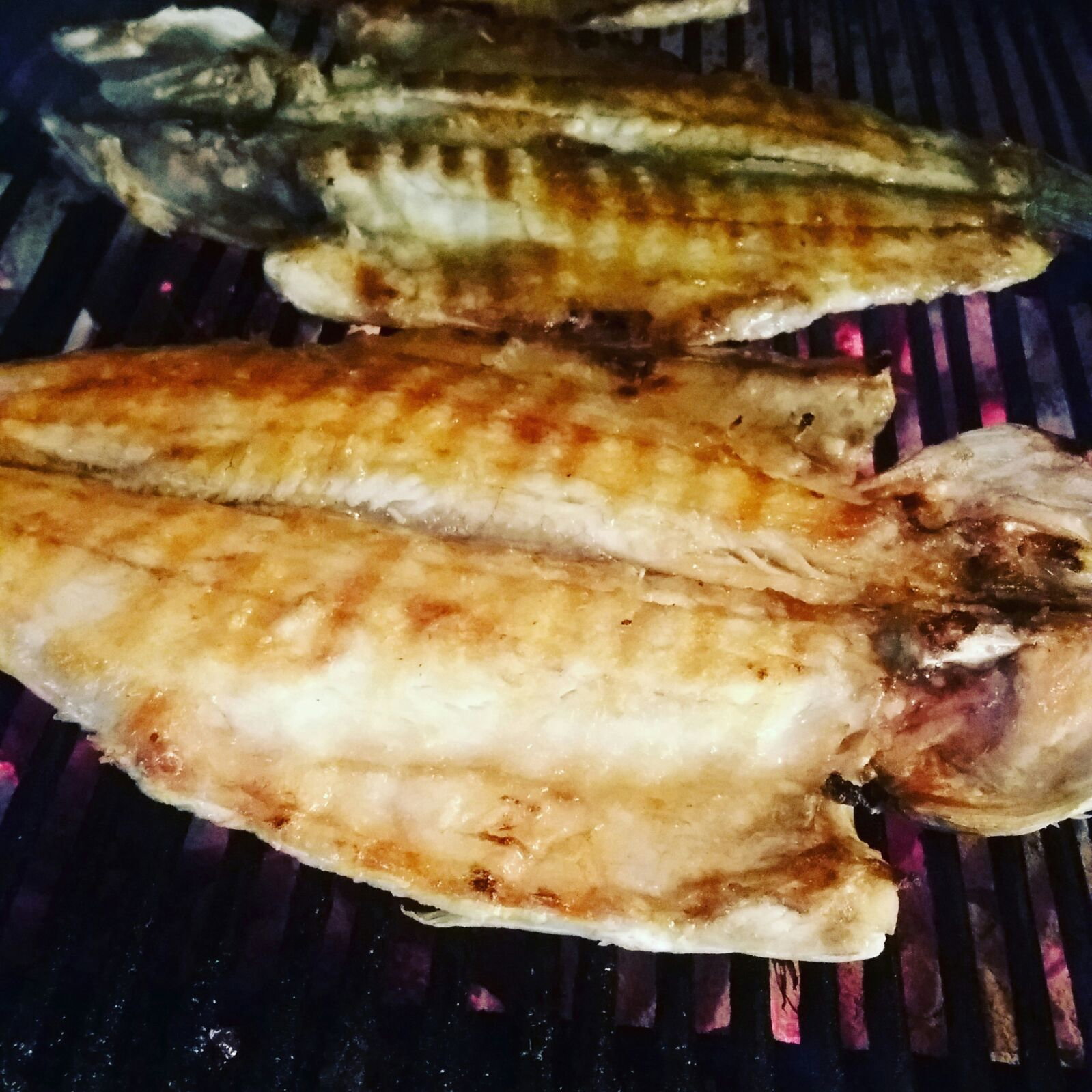 Ali̇ço Balik Evi̇