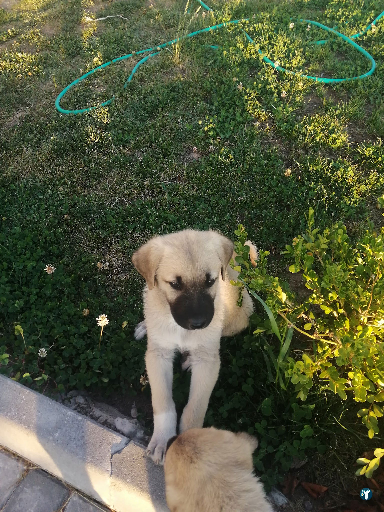 Tepe Bungalov Ankara