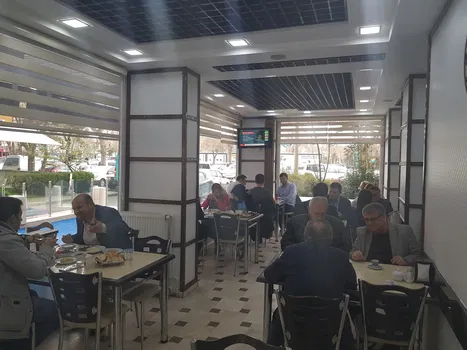 Mavi Köse Izgara resimleri
