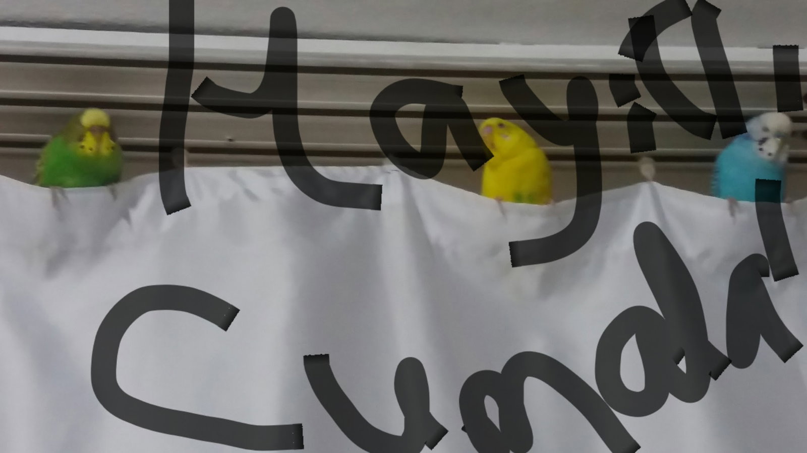 Imren Kilo Ile Köfte