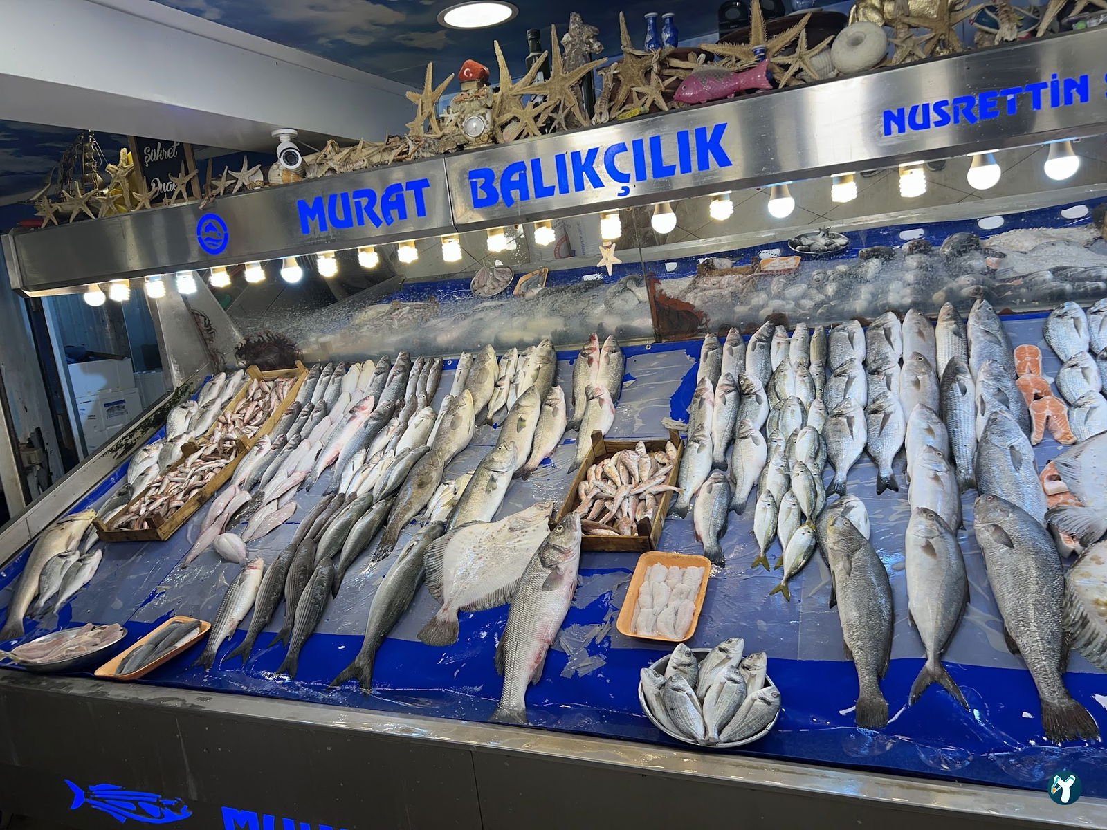Şef Murat Güzelbahçe Balık Restoranı
