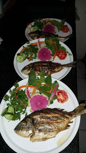 Aliağa Bizim Balık Evi