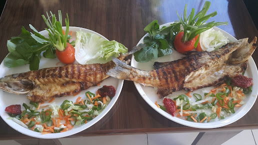 Aliağa Bizim Balık Evi