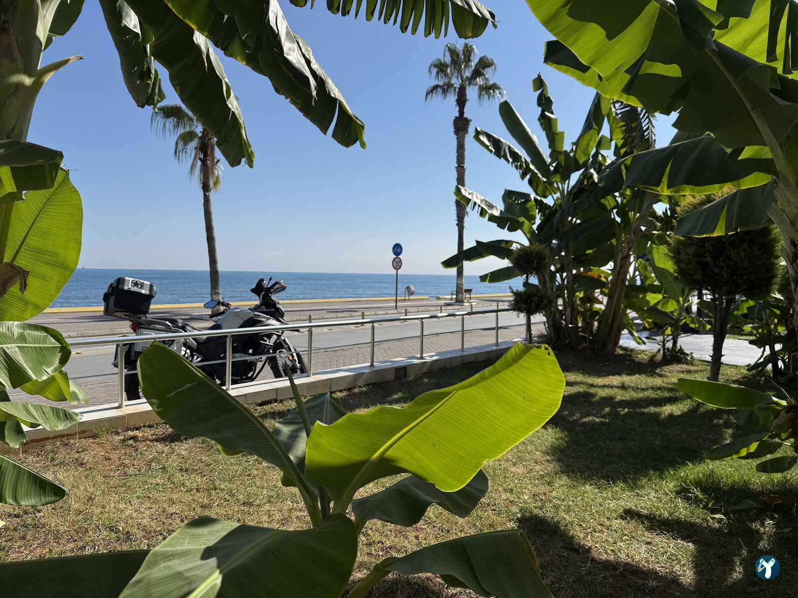 Reyya Mersin