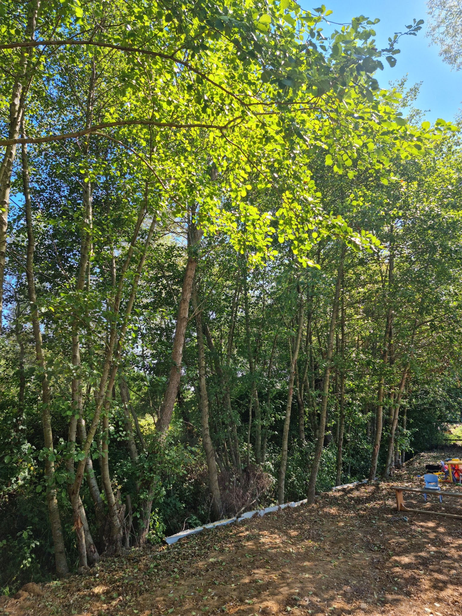 Livadi Hobi Köyü Ve Kahvaltı