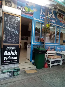 Mola Balık resimleri