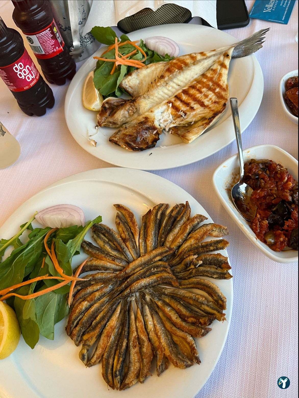 Yelkenci Karaköy
