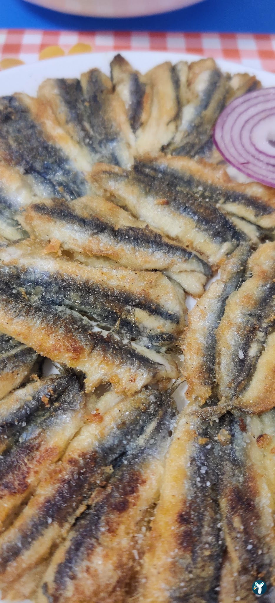 Mercan Balık Ve Pişirme Evi