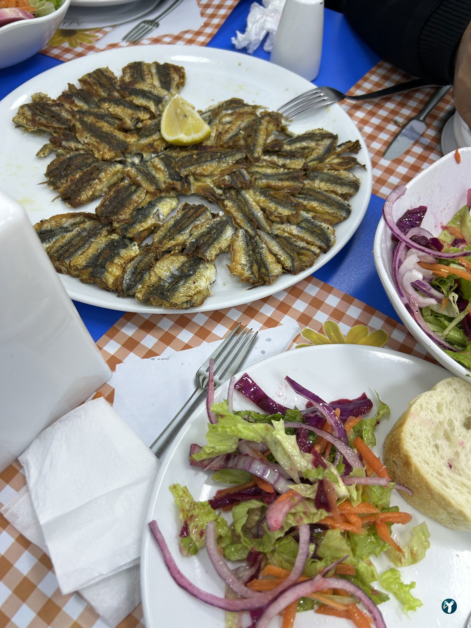 Mercan Balık Ve Pişirme Evi