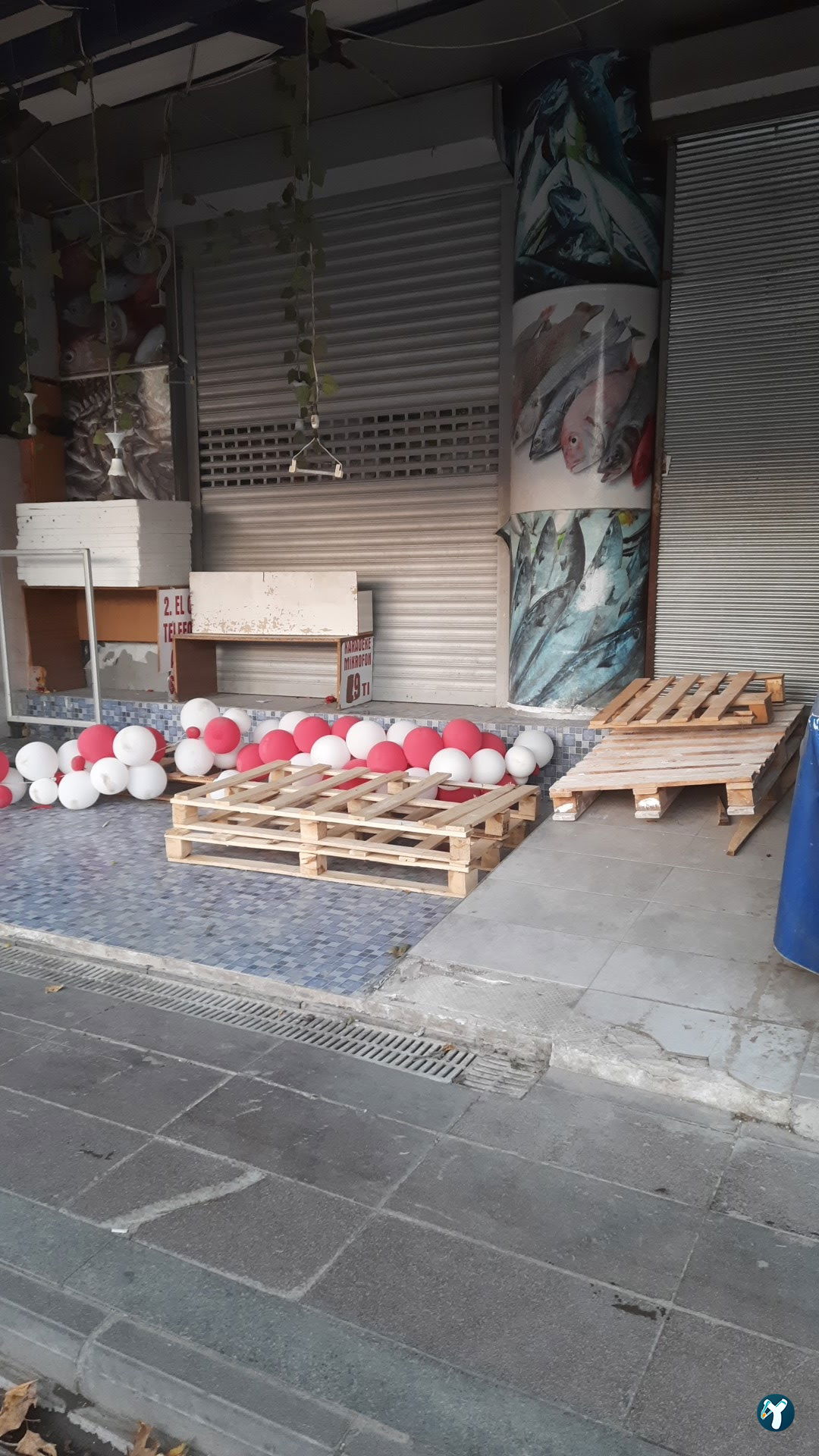 Mercan Balık Ve Pişirme Evi