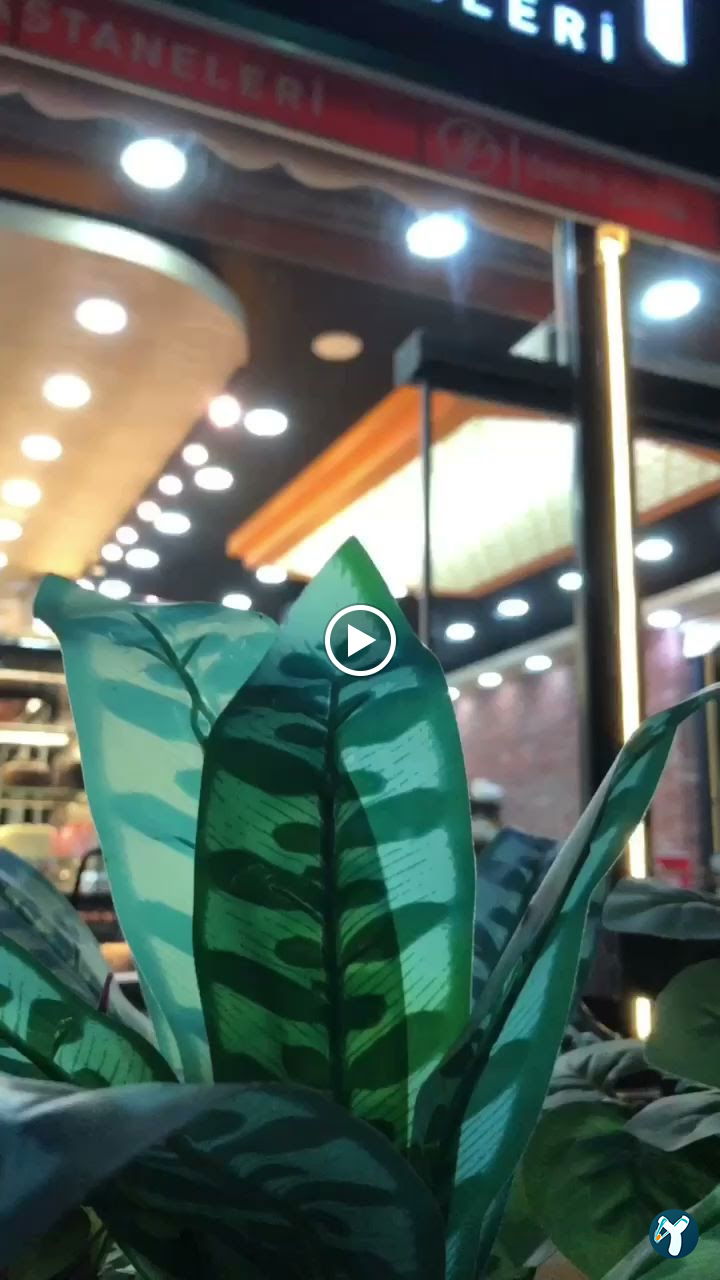 Ömer Yaren Pasta Evi Fırın Cafe