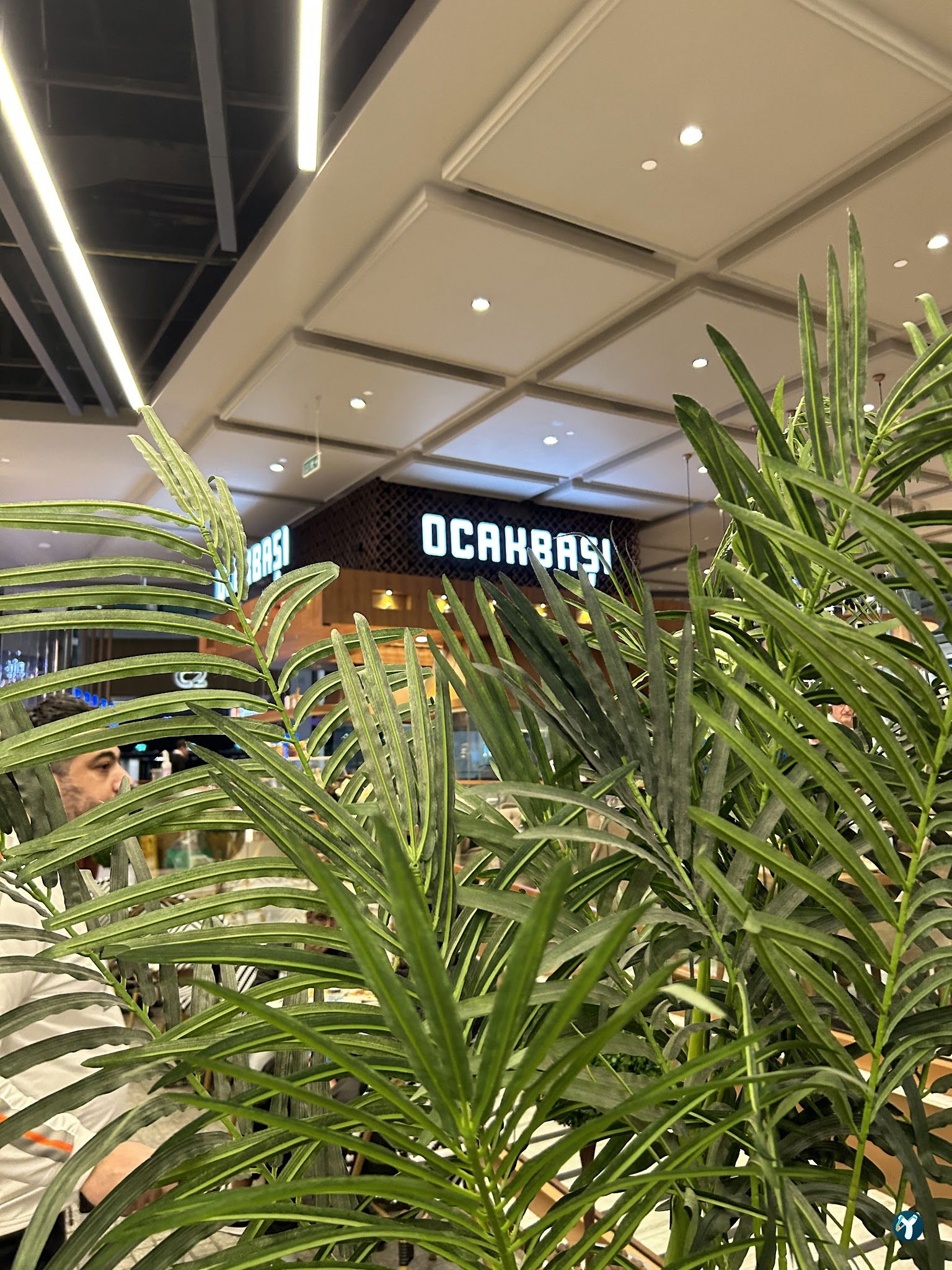 Ocakbasi