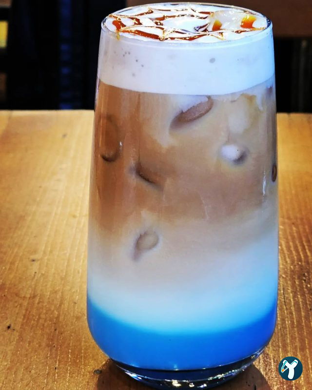 SOPHISTO SOCIAL CLUB