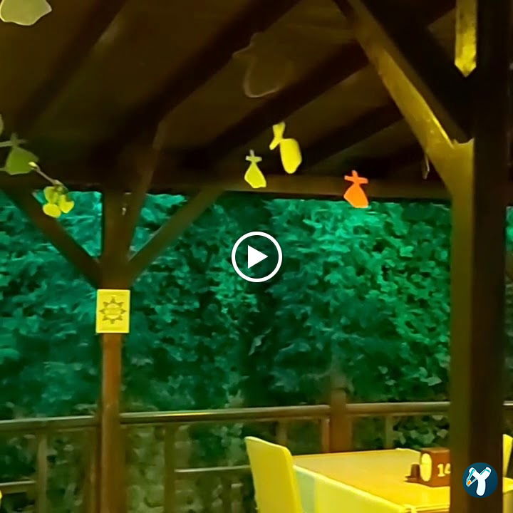Somatçı Fihi Ma Fih Restaurant . Geçici Olarak Kapalı